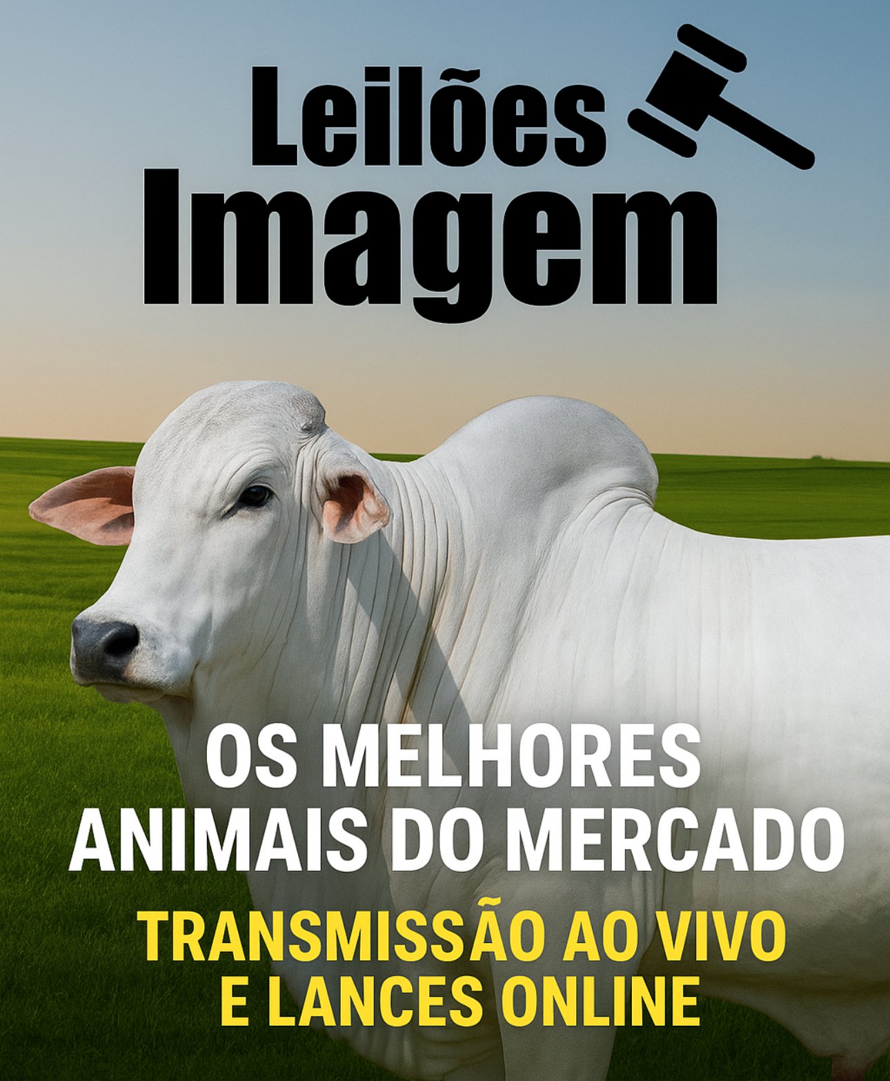 ANUNCIE ABAIXO DOS DESTAQUES