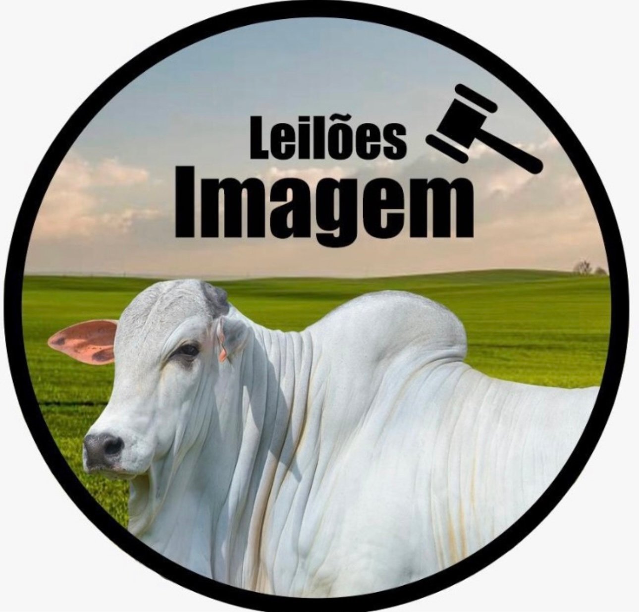 ANUNCIE ABAIXO DOS DESTAQUES