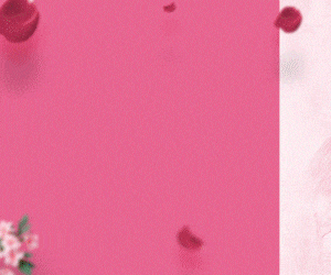 LATERAL 01