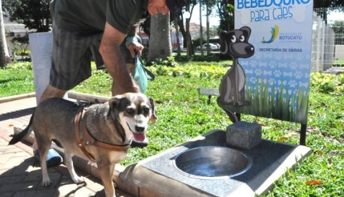 Instalação de bebedouros busca transformar praças em espaços mais acolhedores e funcionais