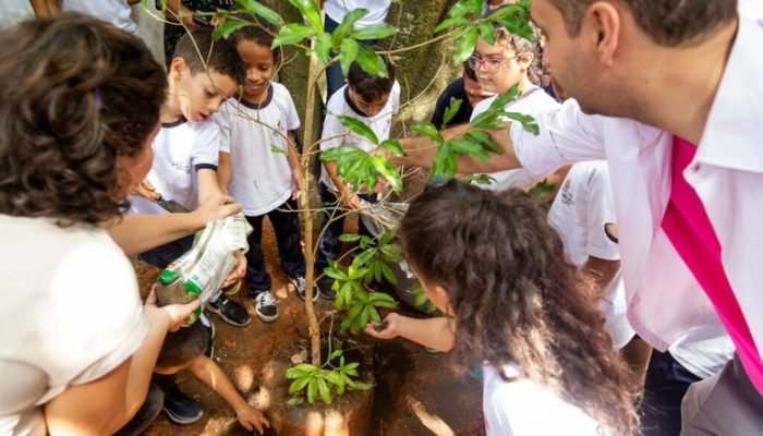 Proposta Incentiva Criação de Áreas Verdes em Escolas e Bairros de Nova Andradina