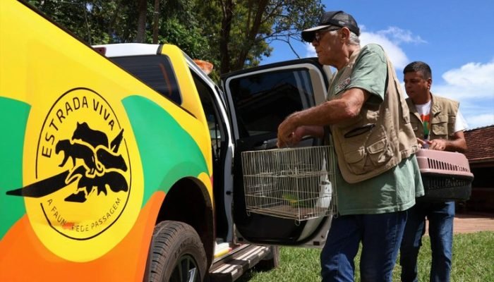 MS-473: Câmara de Nova Andradina pede inclusão no programa Estrada Viva