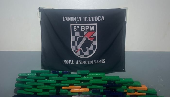 87a3da45-3fdb-4990-b25f-449f3804e7fa.jpg