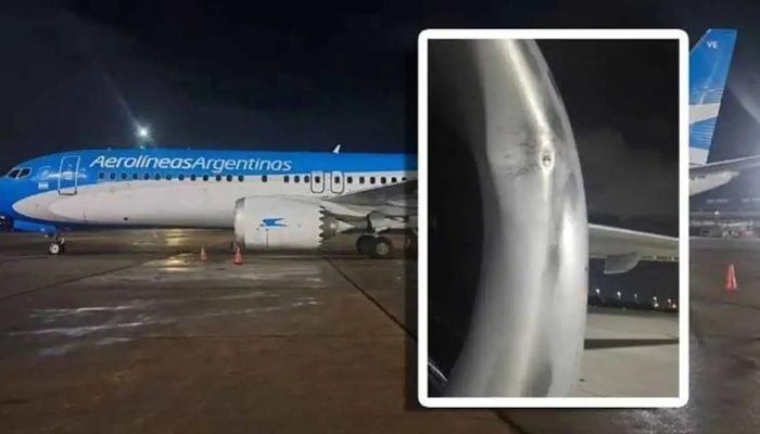 aviao-argentina_copy.jpg