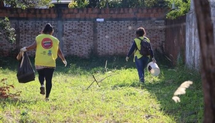 Vereadora Questiona Eficácia do Combate ao Mosquito Aedes Aegypti em Nova Andradina