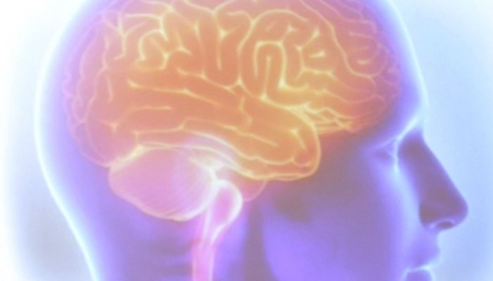 cerebro.jpg