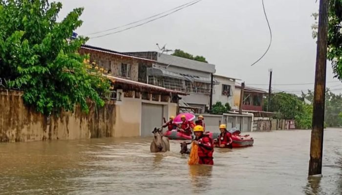 chuvas_em_pernambuco04.jpg