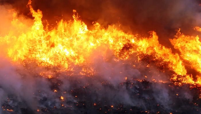 incendio_chapada_divulgacao_governo_da_bahia.jpg