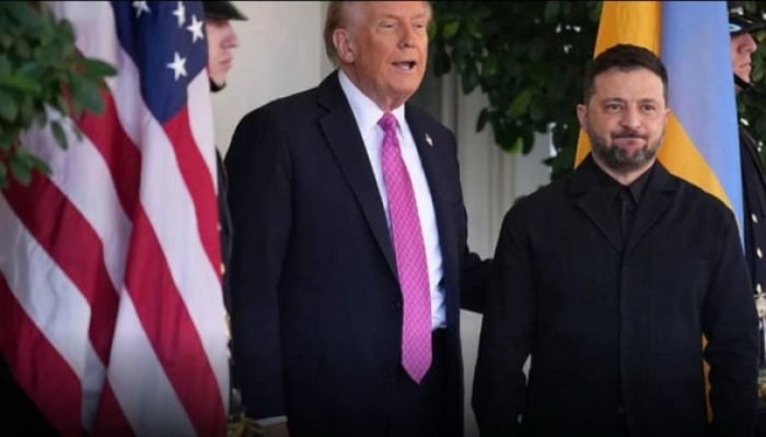 Trump pressiona Zelensky a aceitar termos de Putin, segundo jornal