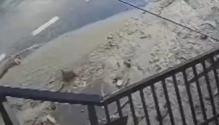 Rompimento de Reservatório em Campina Grande (PB) Causa Morte e Destruição