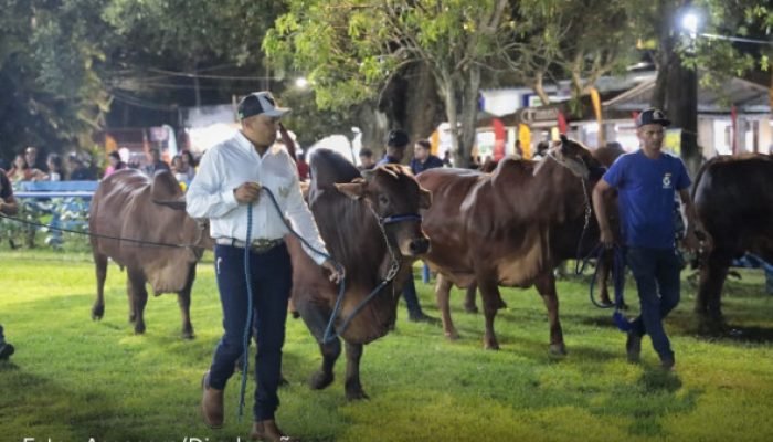 Festa do Boi 2025 marca nova gestão no Parque Aristófanes Fernandes