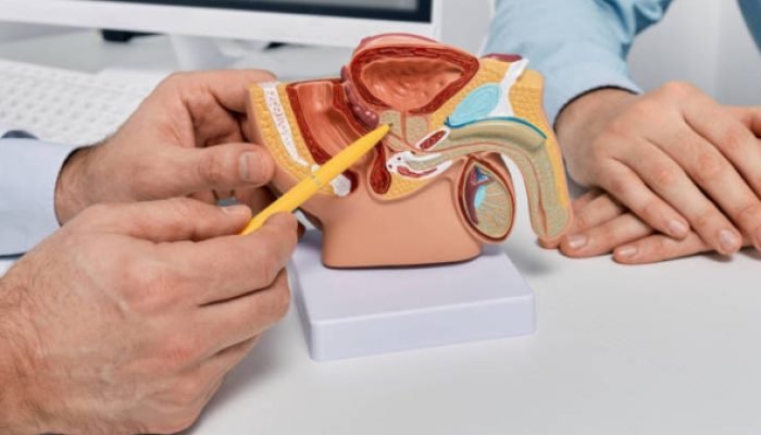 Câncer de próstata ainda mata 48 homens por dia no Brasil; especialistas fazem alerta