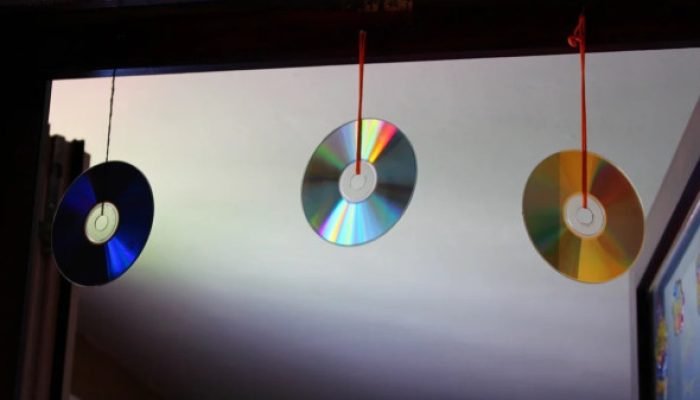 CDs podem ser aliados contra insetos e aves, entenda
