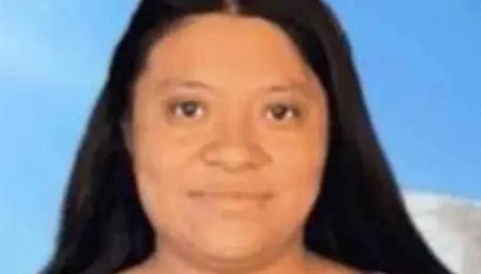Mulher é Morta por Engano ao Tentar Limpar Casa Errada em Indiana