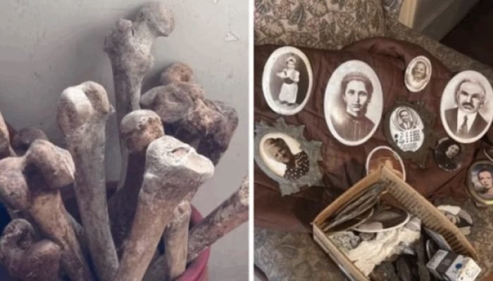 Crânios e ossos humanos são achados em apartamento na Zona Oeste de SP