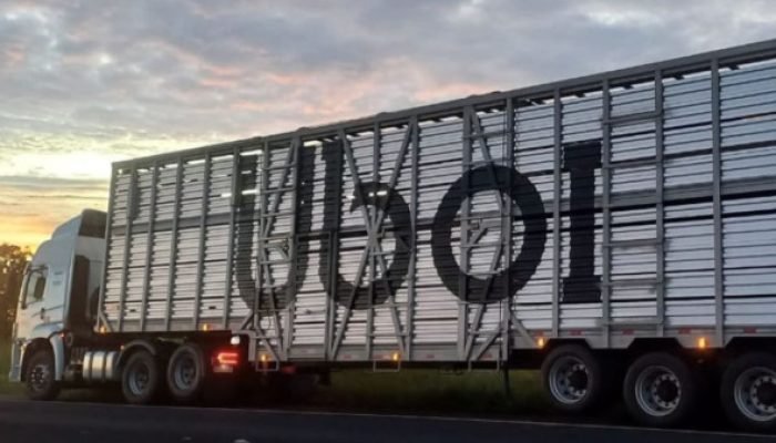 Transporte de gado: irmãos Batista lançam "Uber do boi"