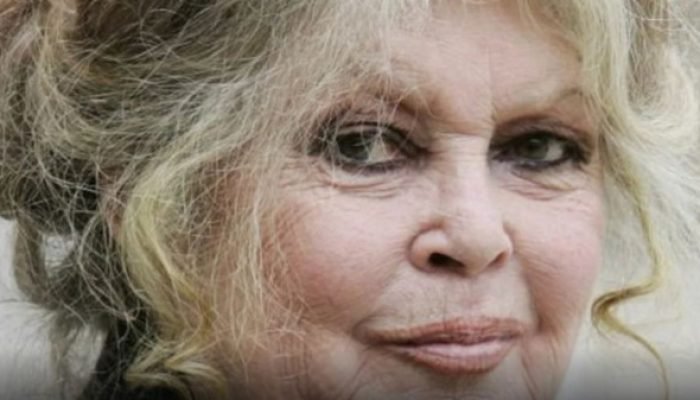 Brigitte Bardot, aos 91, é internada na França com quadro grave