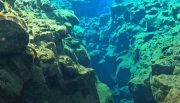 Cientistas detectam placas tectônicas se partindo no oceano pacífico