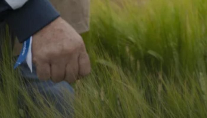 A revolução no campo que está tornando a cerveja brasileira mais competitiva