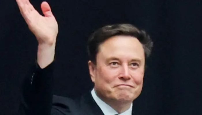 Elon Musk oferece apoio jurídico a brasileira investigada por Moraes