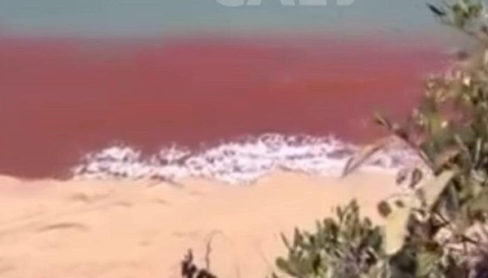 Mar de Pipa (RN) Adquire Tonalidade Avermelhada e Intriga Turistas e Moradores